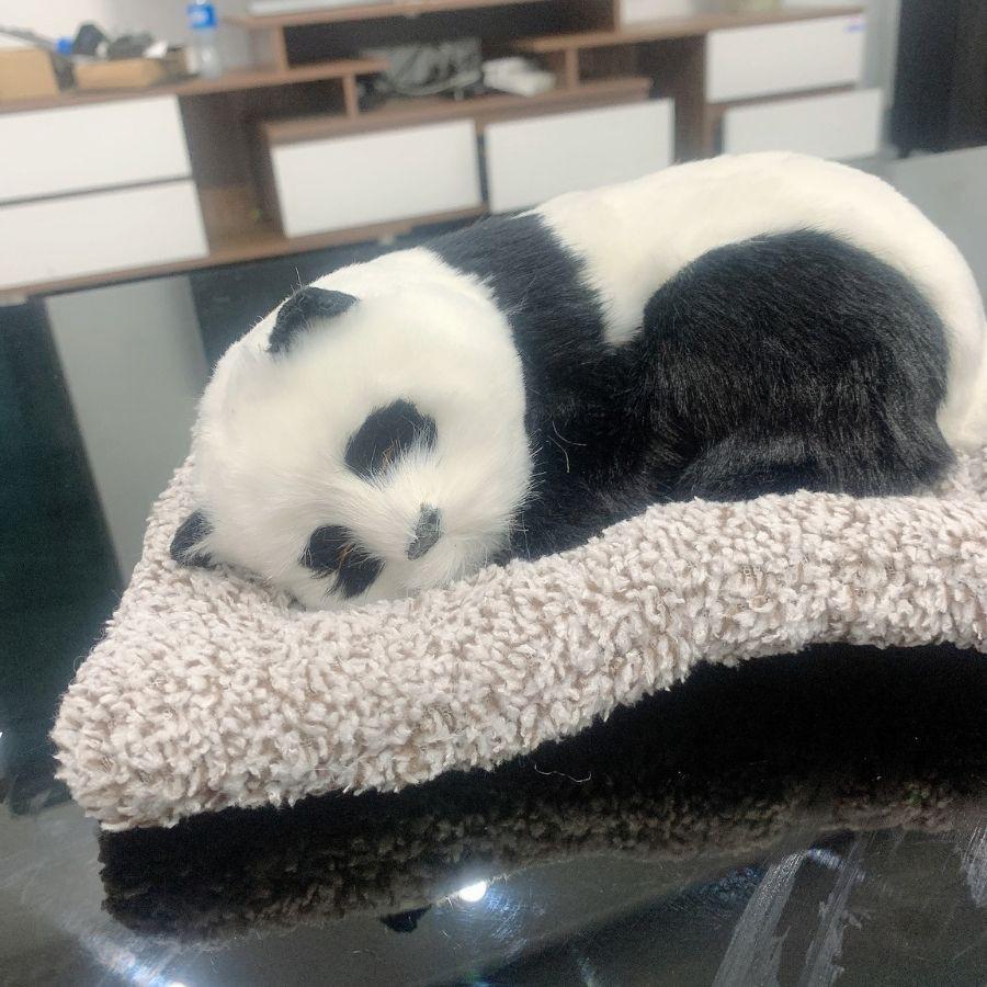 Thú bông nhồi than hoạt tính khử mùi, thú bông ngủ dễ thương trang trí taplo ô tô, xe hơi, bàn làm việc
