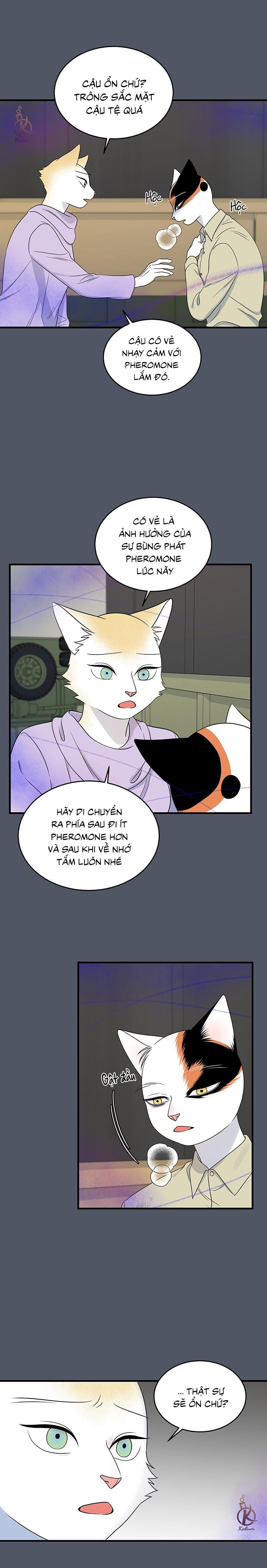 dự án xanh chapter 44 3