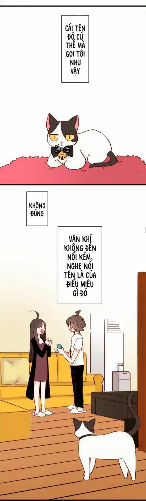 gấu nhỏ dư và thỏ thỏ hứa chapter 13 21
