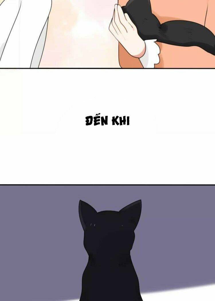 tiểu miêu và hắc diệu thạch chapter 27 8