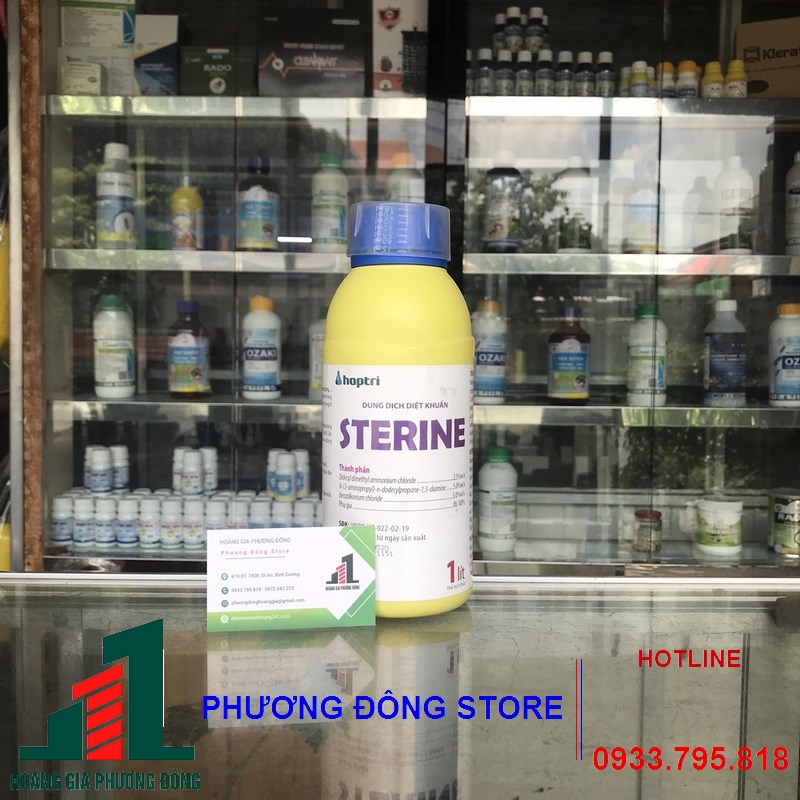 Dung dịch diệt khuẩn STERINE - 500ML