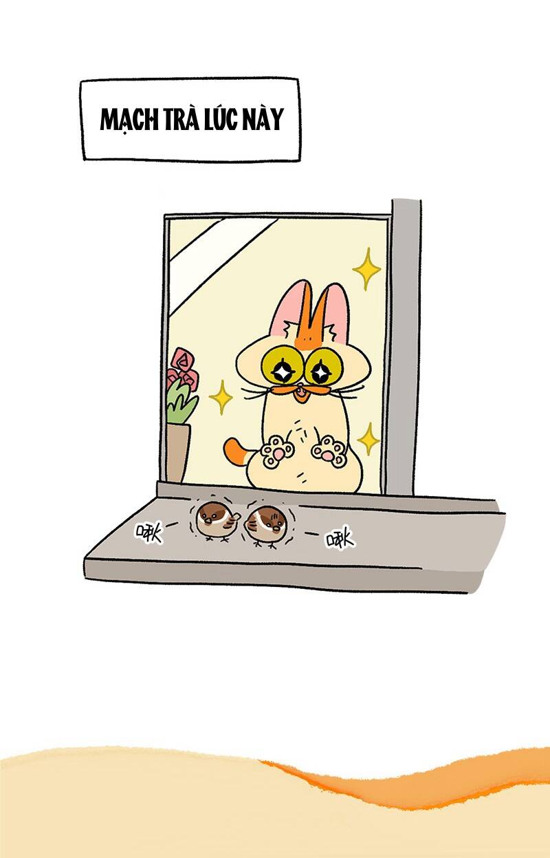 a mãn và mạch trà chapter 36.1 7