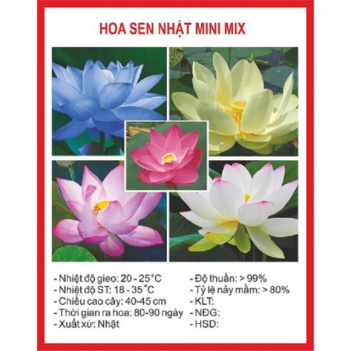 Hạt Giống Hoa Sen Nhật Mini Mix 10 hạt (4 màu)