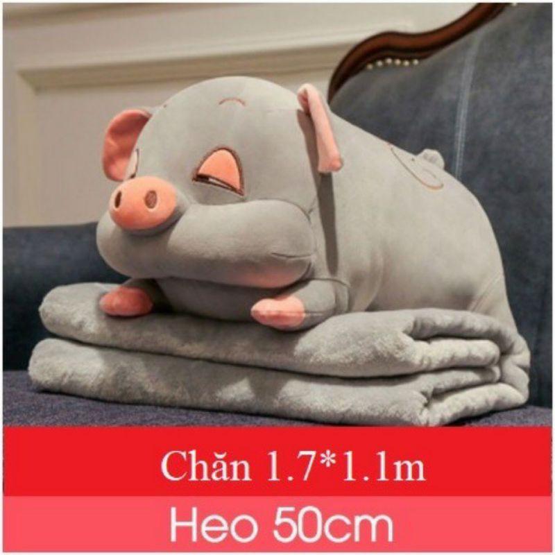 Gấu bông_ heo bông béo ú kèm chăn siêu đáng yêu cute giá rẻ