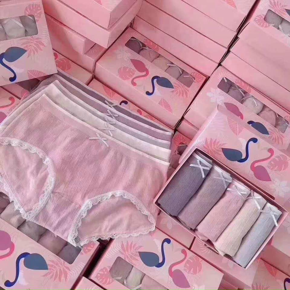 Hộp 5 Quần Lót Cotton Thiên Nga Dễ Thương Co Giãn 4 Chiều Cao Cấp.