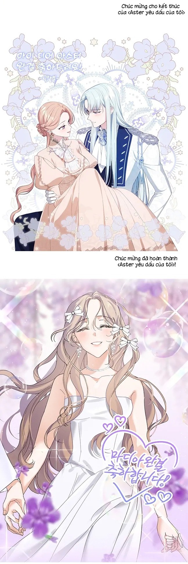 aster yêu dấu của tôi chapter 65 47