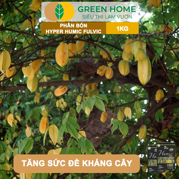 Phân Bón Humic Fulvic GreenHome, Gói 1Kg, Cải Tạo Đất, Kích Thích Ra Rễ, Tăng Hấp Thụ Phân Bón