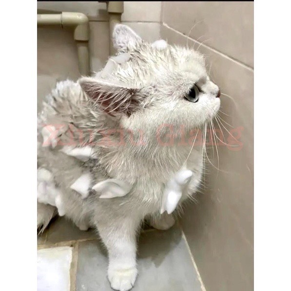 [MỚI VỀ] Sữa tắm Borammy khô cho thú cưng chó mèo, Bọt tắm khô khử mùi làm sạch lông, sạch sẽ và thơm mát (400ml