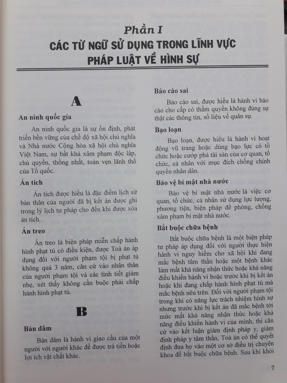 Từ Điển Pháp Luật Việt Nam