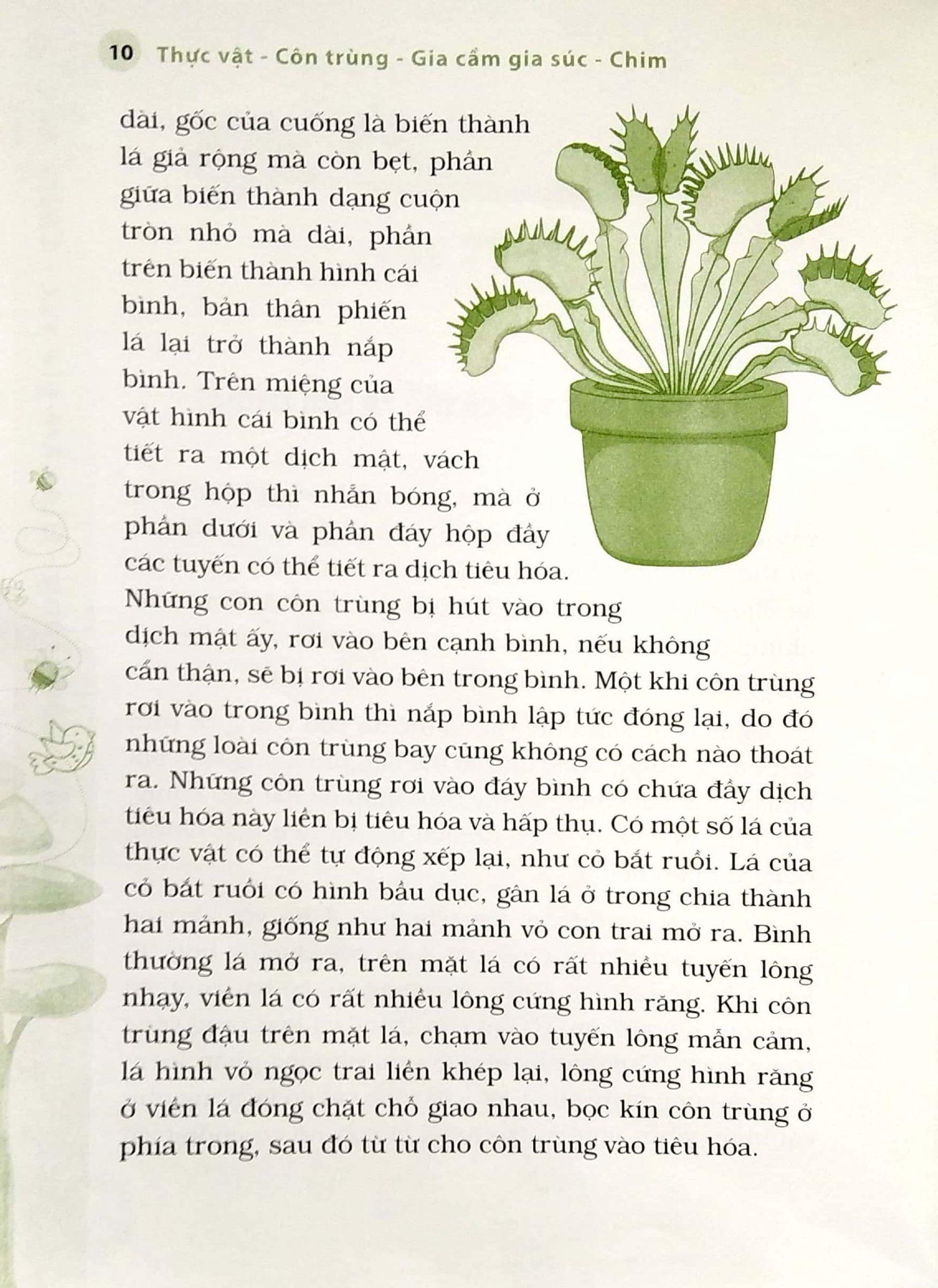 10 Vạn Câu Hỏi Vì Sao? - Thực Vật - Côn Trùng - Gia Cầm - Gia Súc - Chim