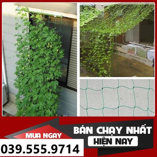 Lưới Trồng Cây, Lưới Làm Giàn Dây Leo size 0.9mx1.8m