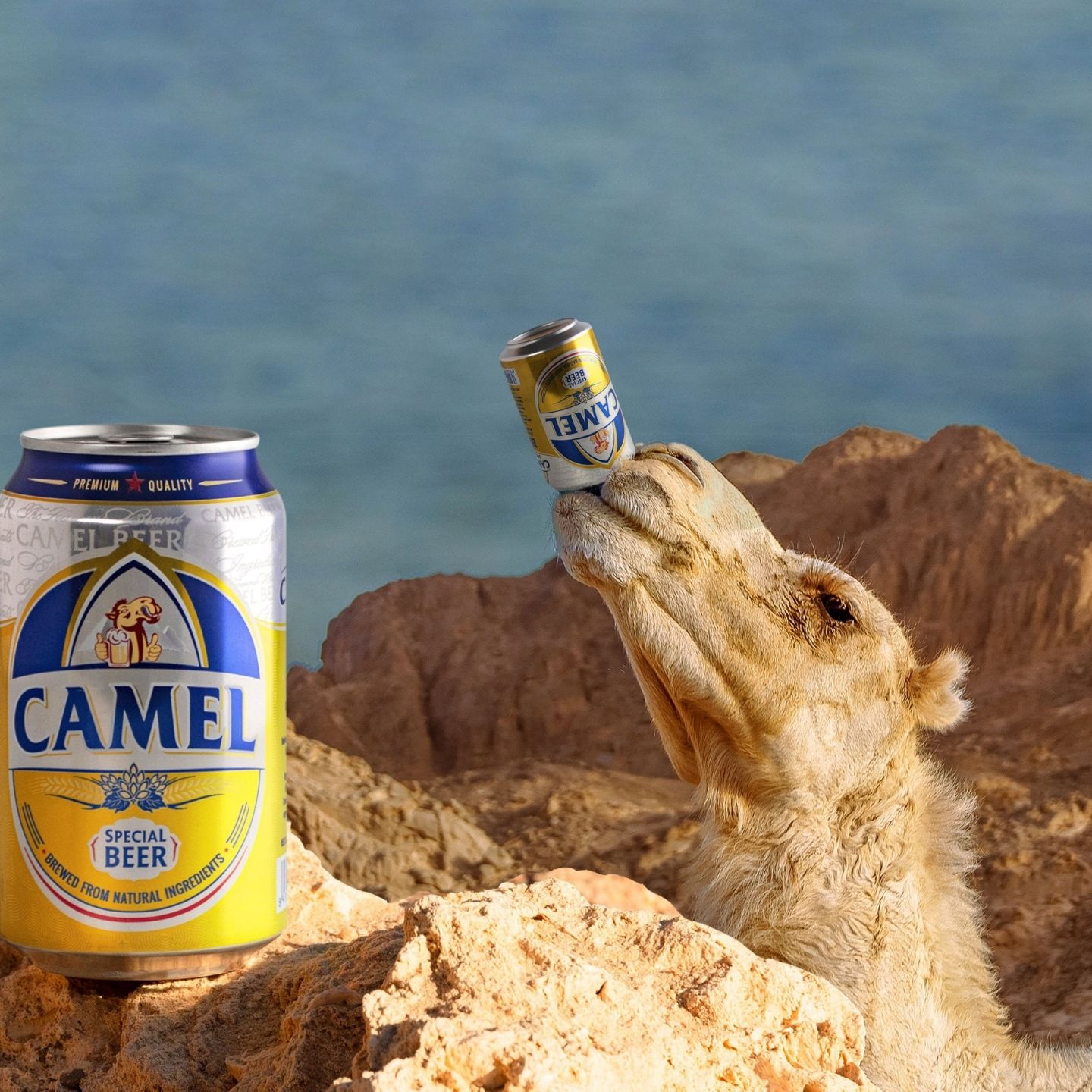 Bia Camel Special (Vàng) - Thùng 12 lon 330ml