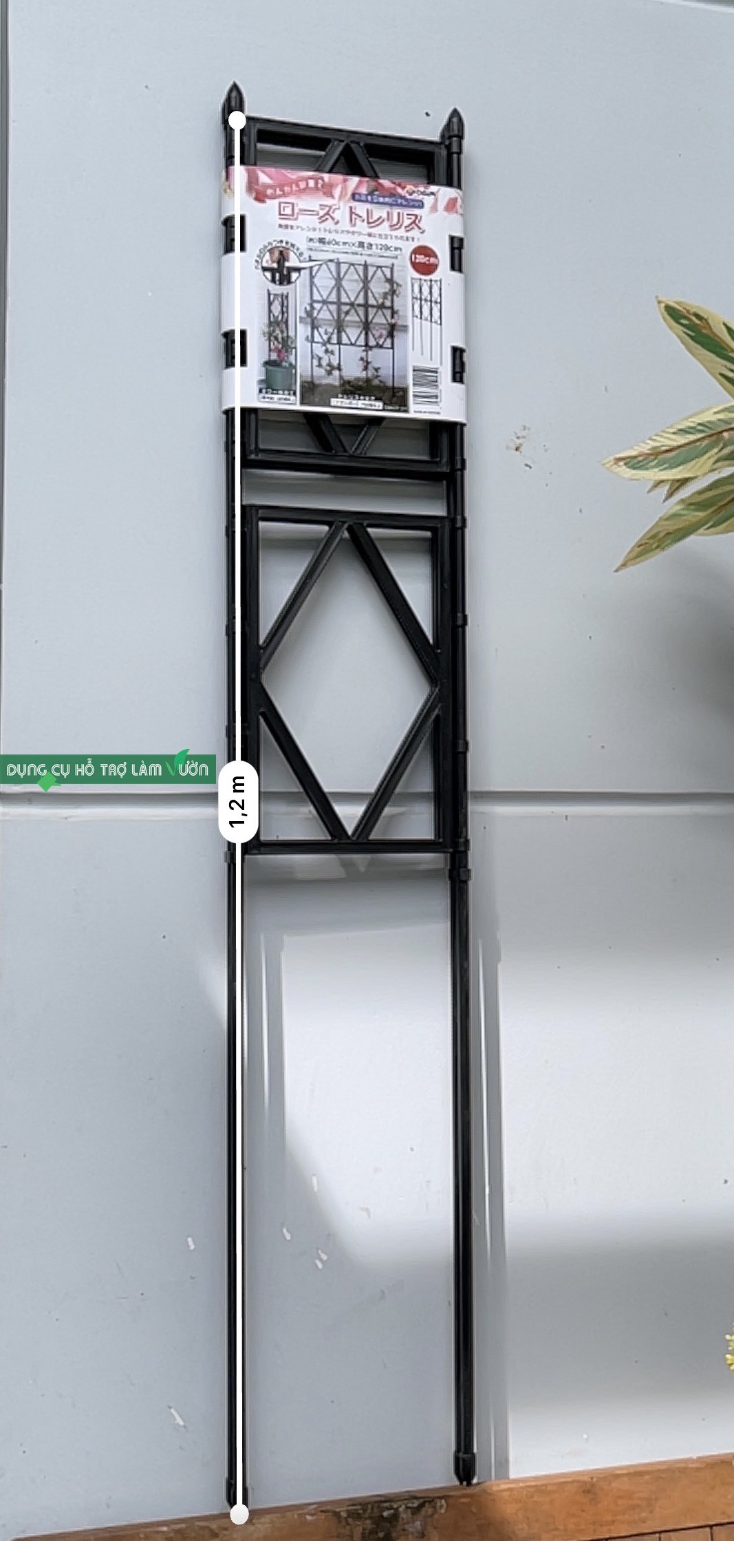 GIÀN LEO HOA HỒNG KT RỘNG 60CM