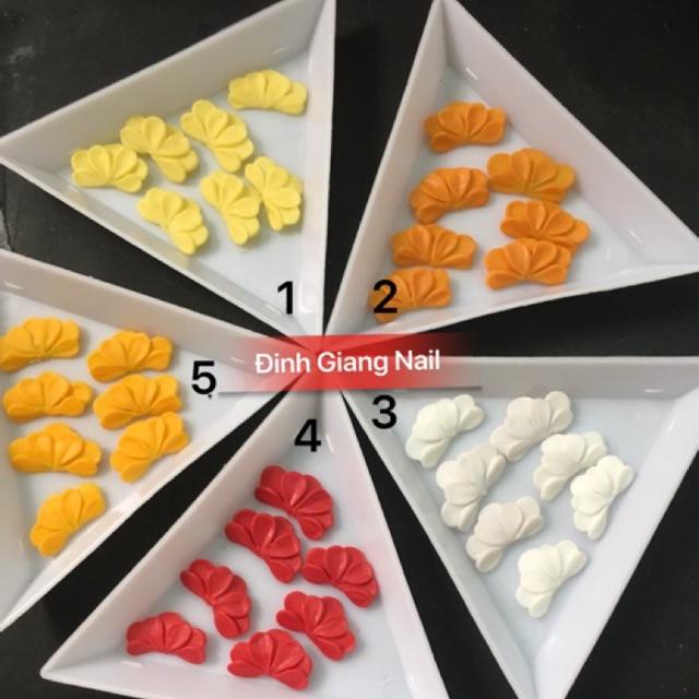 Hoa bột(hoa cúc nửa
