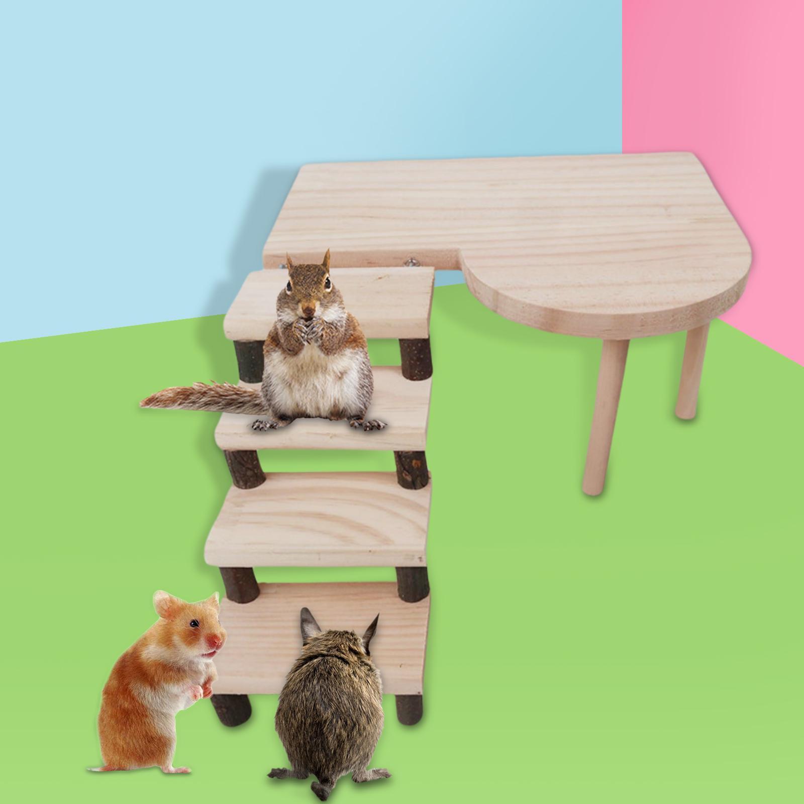 Two Layers Wooden Hamster Platform Climbing Ladder Cage Landscaping Climb