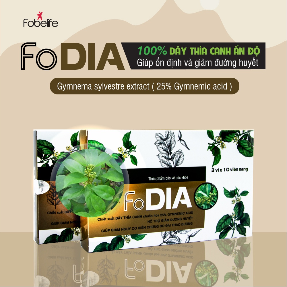 Viên Uống ổn định Đường Huyết, dây thìa canh Fodia Fobe giúp giảm đường huyết Hộp 30 Viên