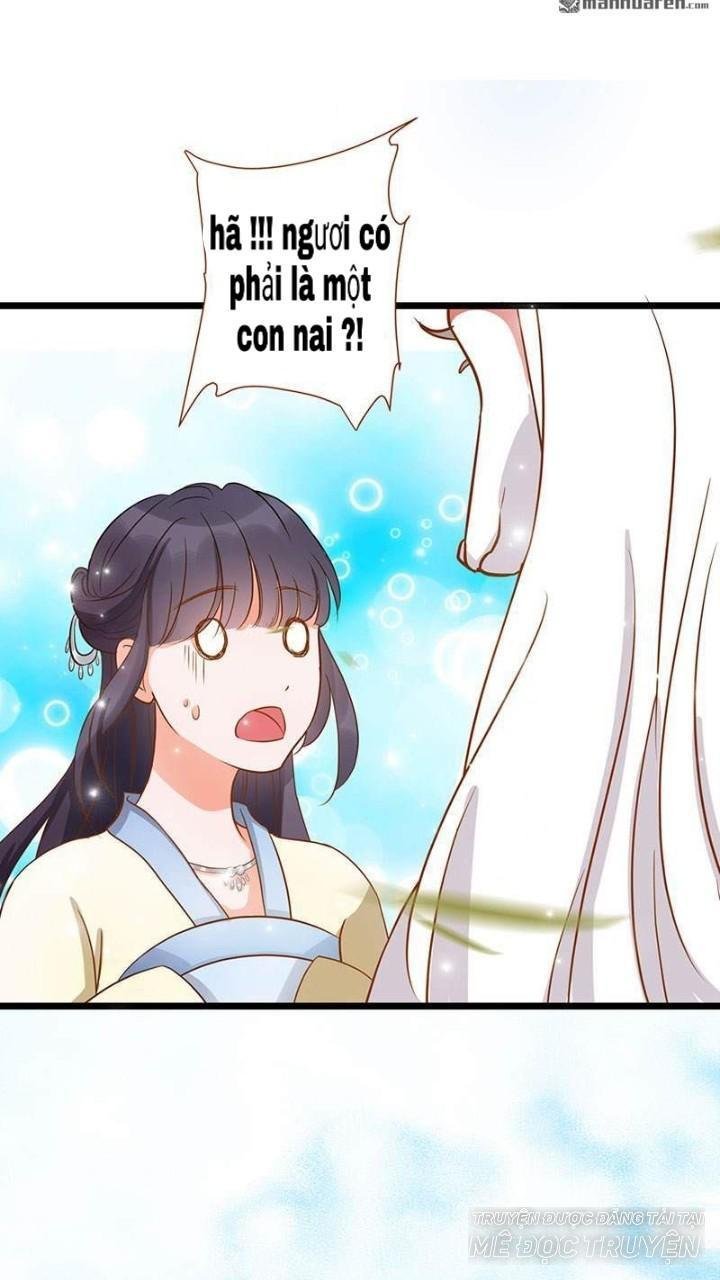 định mệnh giữa vị thần và tiểu cô nương chapter 5 6