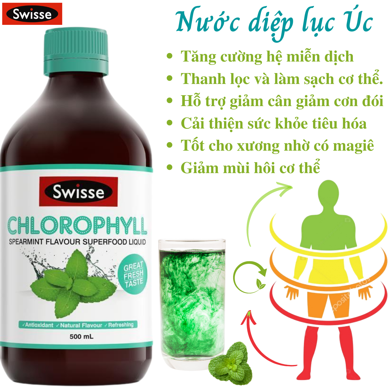 Nước diệp lục cô đặc Swisse Chlorophyll giàu chất chống oxy hóa, tăng cường năng lượng và sức khỏe làn da - Massel Official
