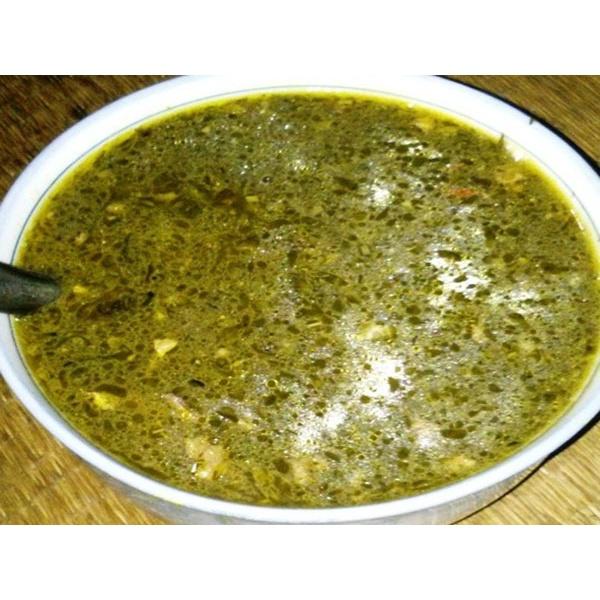 Cây giống Cà Đắng