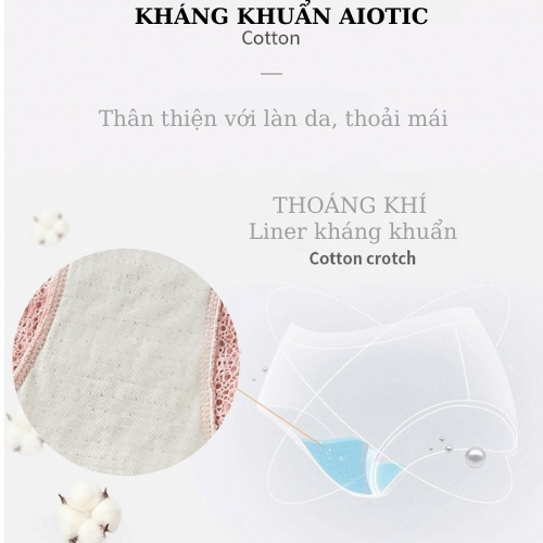 Quần Lót Cotton Sợi Tăm Tre Viền Ren Đính Nơ Thông Hơi Xuất Nhật Sexy Quyễn Rũ