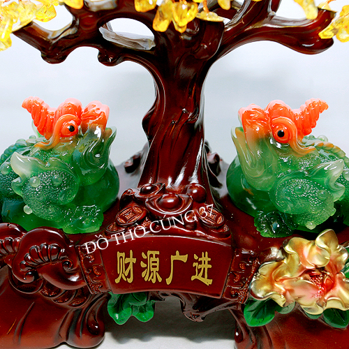 CÓC THIỀM THỪ KIM TIỀN