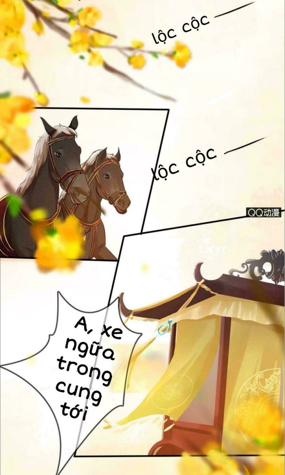 sủng phi của vương chapter 13 5