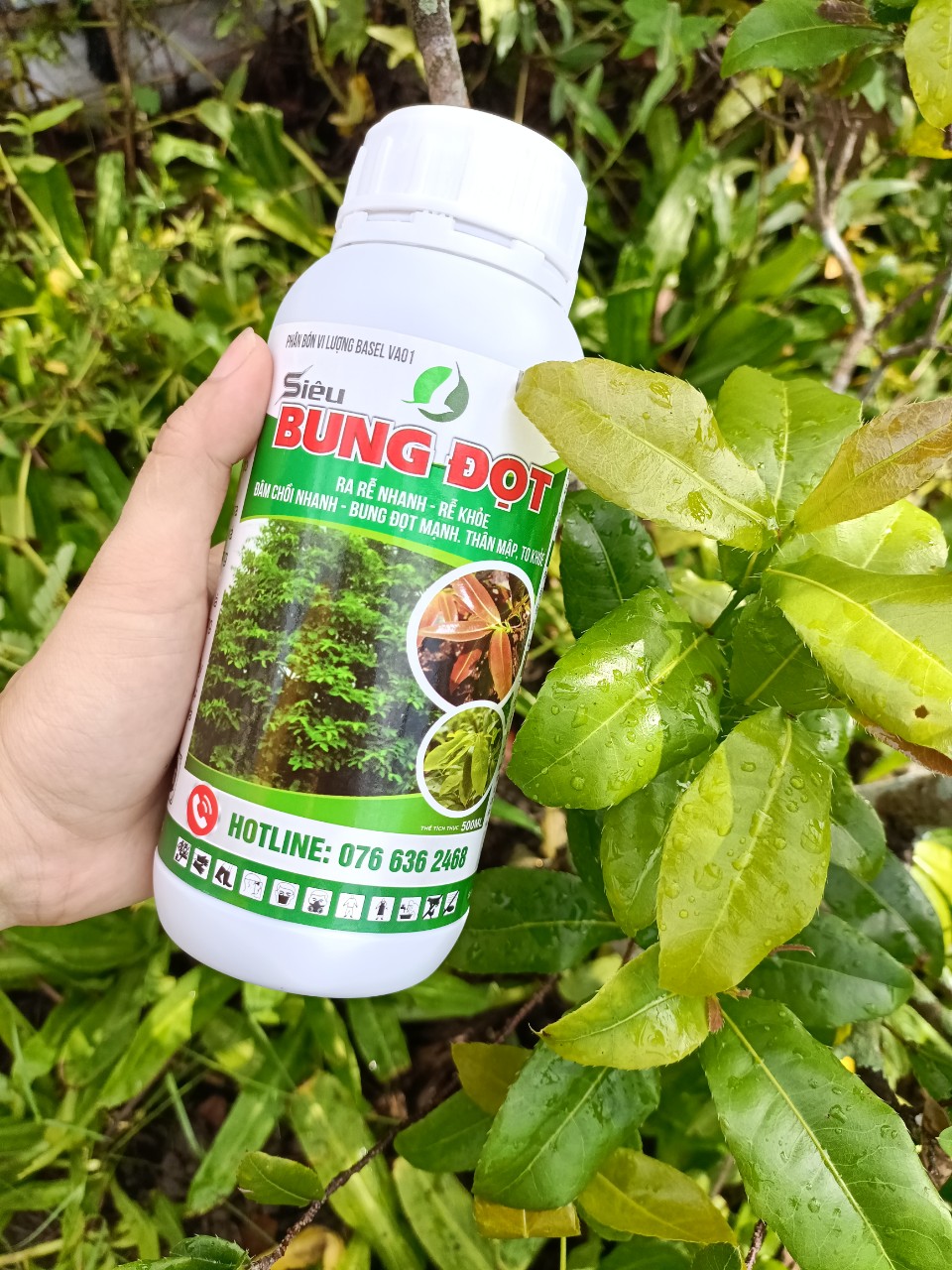 SIÊU BUNG ĐỌT CHUYÊN CHO MAI  500ML - Giúp cây tăng trưởng, nhú đọt mạnh, giúp lá dày xanh bóng