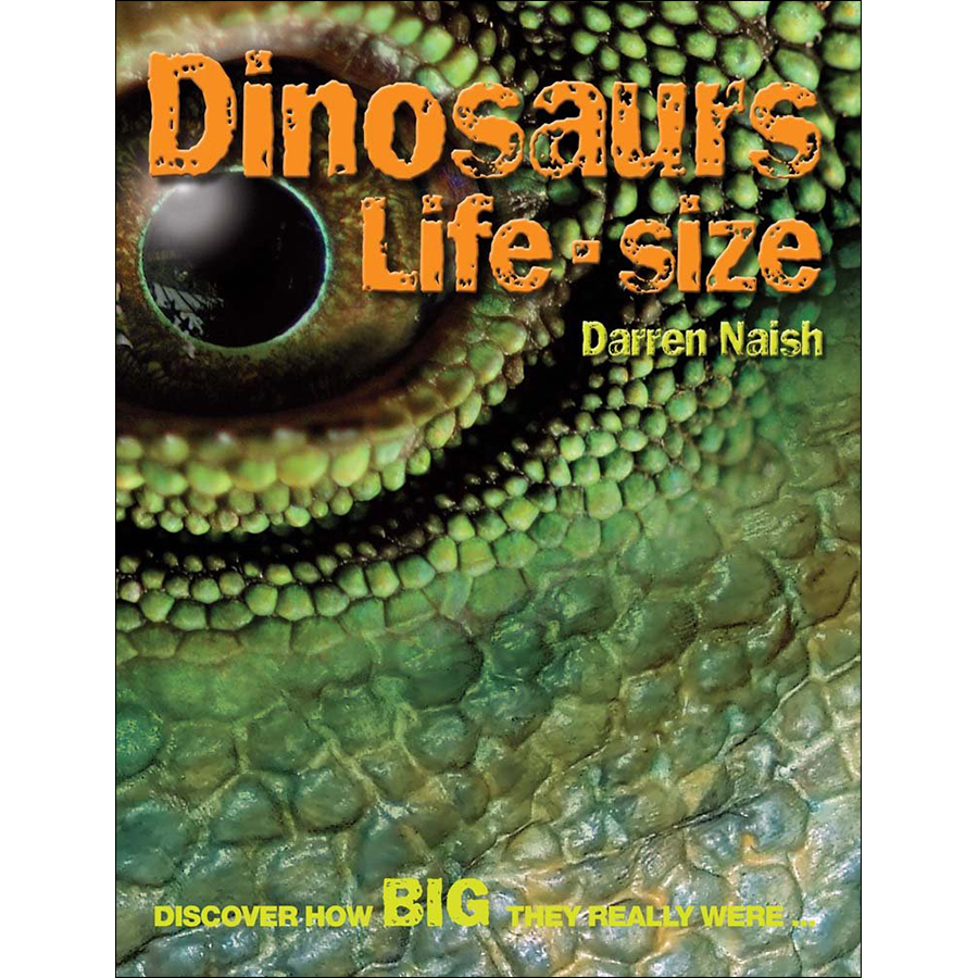 Dinosaurs Life Size: Discover How Big They Really Were