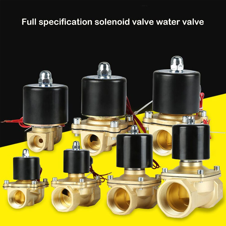 Van điện từ 2W-250-25 24V ren 32mm