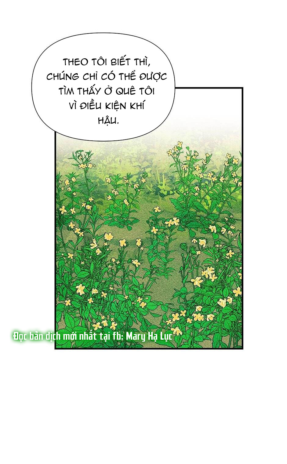 bản khế ước với nữ công tước ác ma chapter 103 59