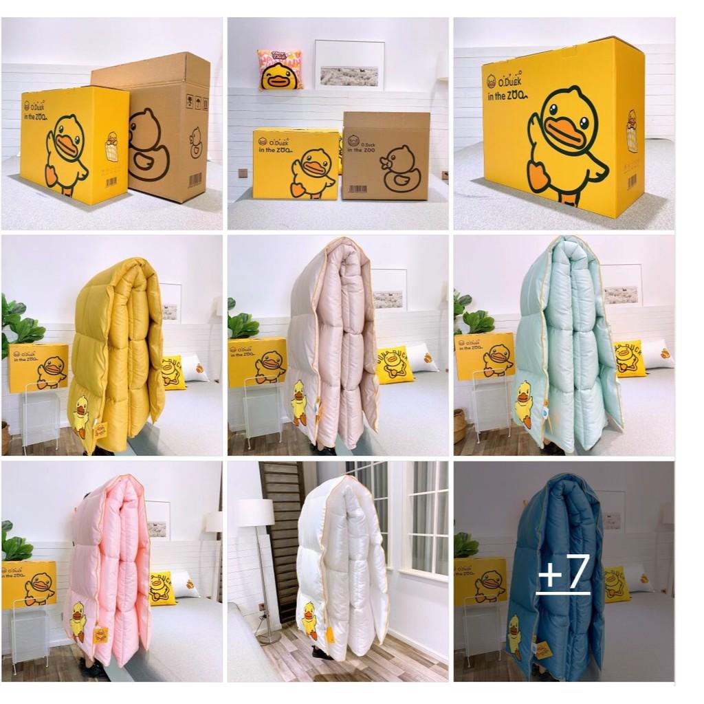 Chăn lông vũ HÀN QUỐC CON VỊT VÀNG