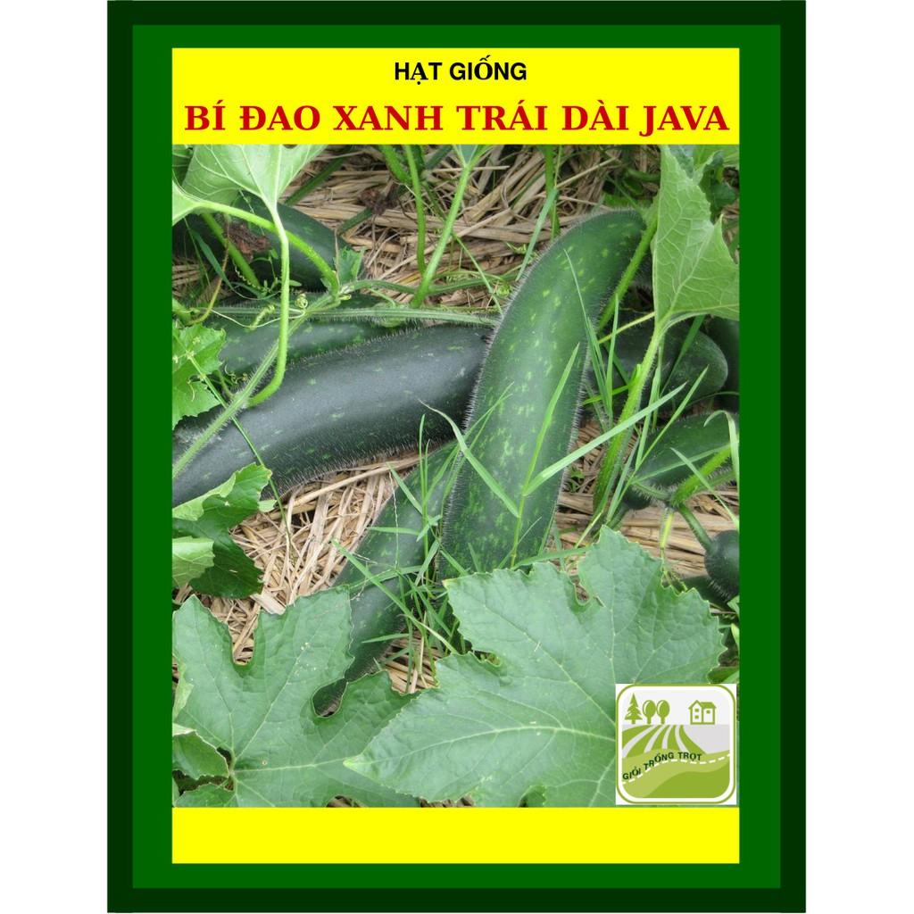 Hạt Giống Bí Đao Xanh Trái Dài F1 Java 0.2 Gram