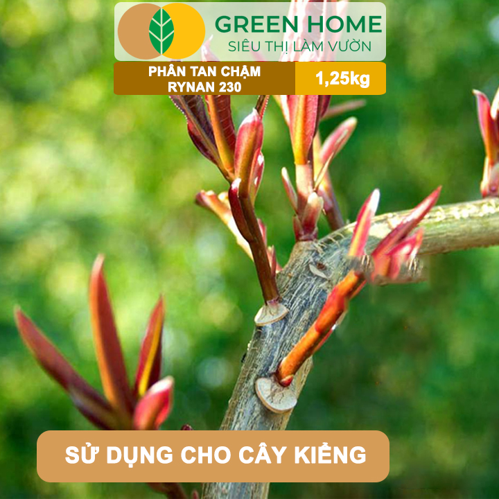 Phân Tan Chậm Greenhome, Rynan 230, Hũ 1,25kg, Chuyên Kiểng Lá, Dưỡng Lá Xanh, Sinh Trưởng Khoẻ