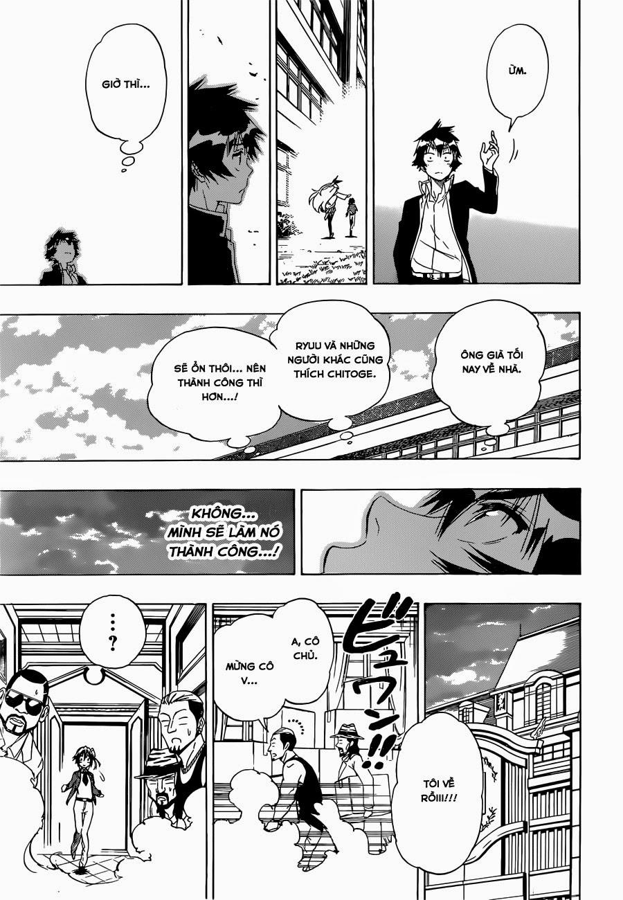 nisekoi - tình yêu giả tạo chapter 160 6