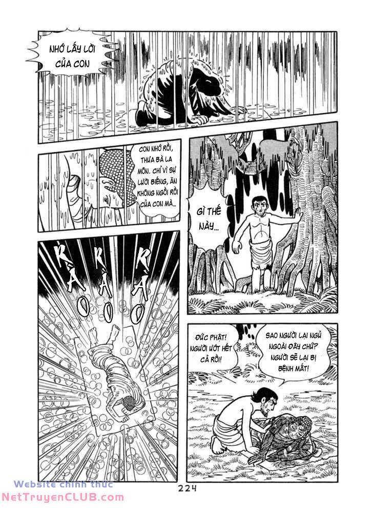 buddha - truyền thuyết đức phật chapter 55 43