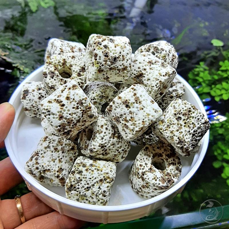 Sứ Trụ Muối Tiêu - Vật Liệu Lọc Nước Cho Bể Cá Cảnh - Thuỷ sinh Nấm Aquatools