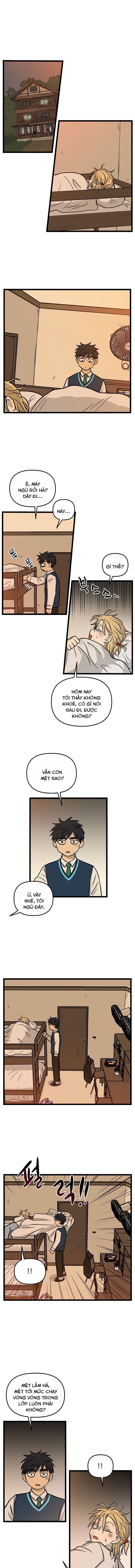 no home - không nhà chapter 156 7