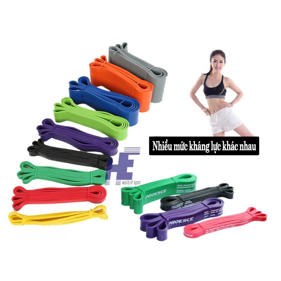 Dây Kháng Lực, Dây Đa Năng Hỗ Trợ Tập Luyện Tập Gym Thể Hình Cao Su Power Band Aolikes Chính Hãng AL3602 TXsport