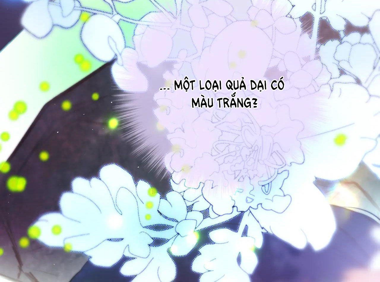 cạm bẫy của hồ ly chapter 29.1 12