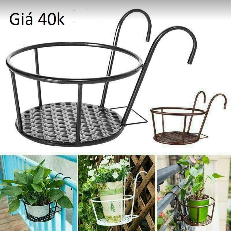 Kệ Treo cây Cảnh