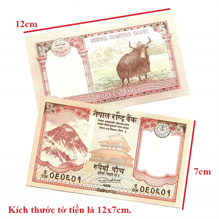 Combo 10 tờ lưu niệm hình con Trâu của Nepal, dùng để sưu tầm, lưu niệm, làm tiền lì xì độc lạ, may mắn, ý nghĩa