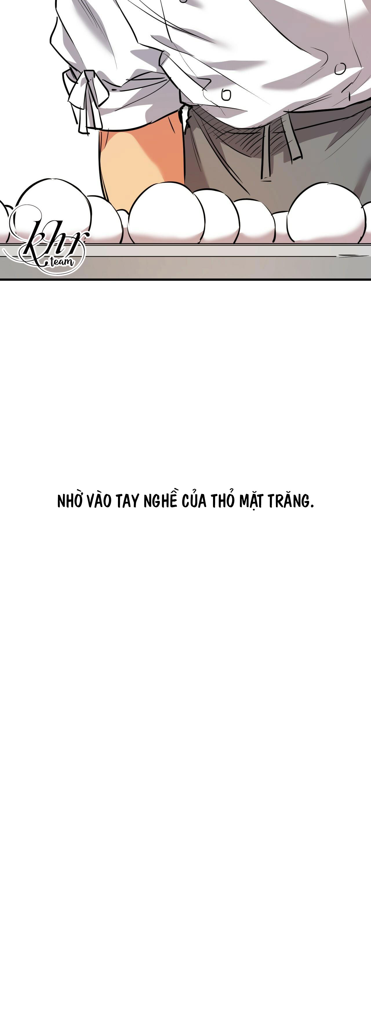 những chú thỏ của hapypy chapter 40 51