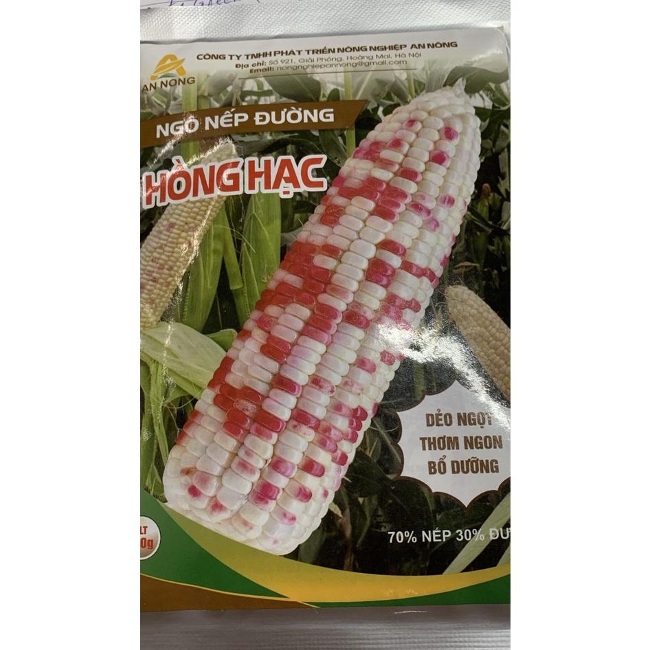 HẠT GIỐNG NGÔ NẾP ĐƯỜNG HỒNG HẠC - GIỐNG CỰC CHUẨN, CHẤT LƯỢNG CAO NẢY MẦM NHANH