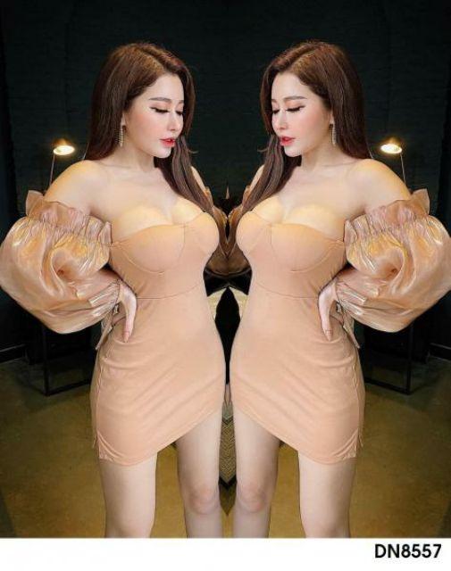 Đầm cúp bẹt vai tay dài voan kiếng