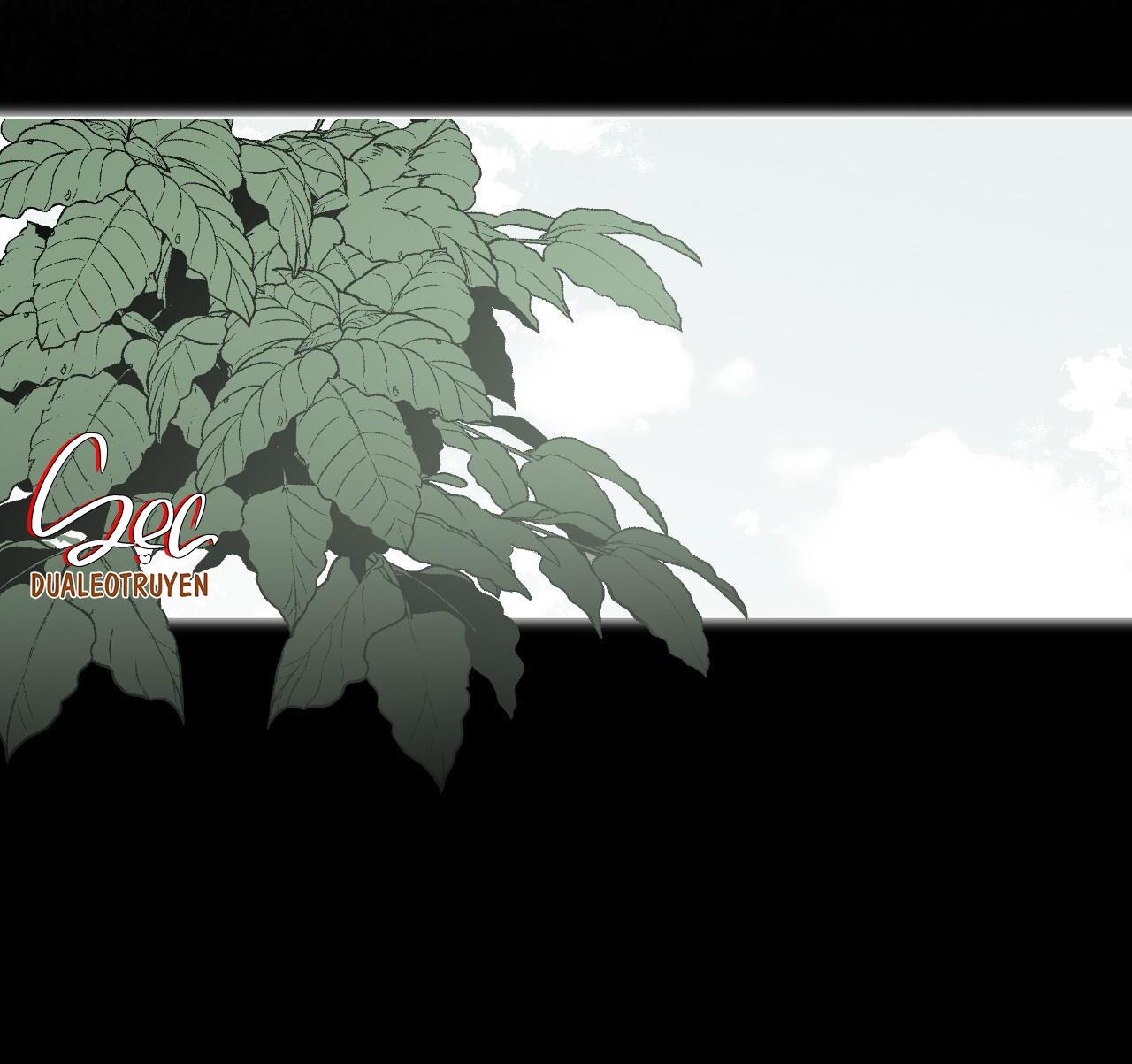 rừng biển [bl] chapter 36 8