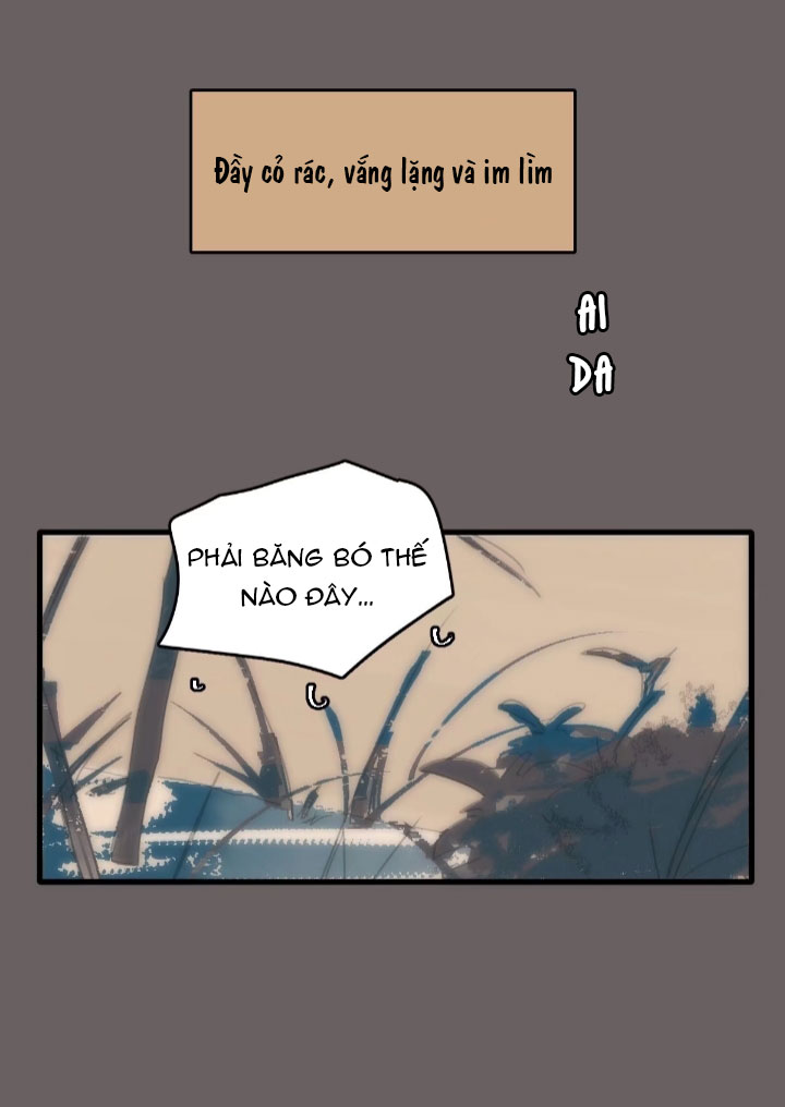 đêm đầy sao nói với em chapter 17 16