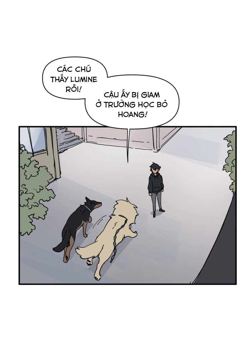 lumine - cội nguồn ánh sáng chapter 153 7