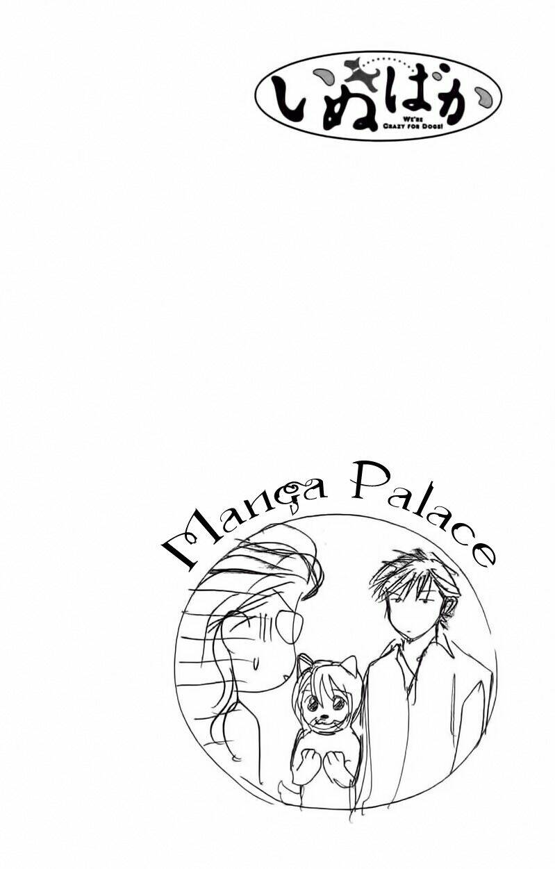 cô nàng yêu chó chapter 32 2