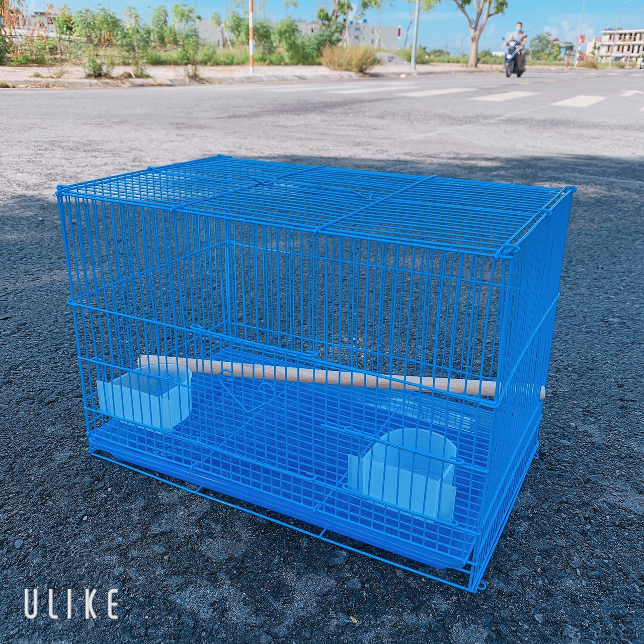Lồng nuôi chim - Lồng nuôi chim Yến phụng