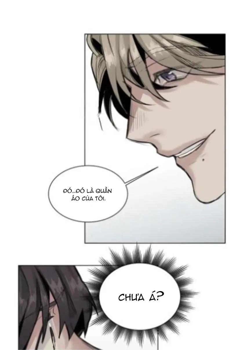 ánh nhìn của quạ chapter 26 7